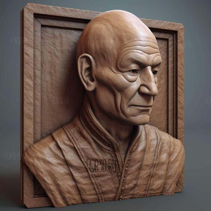 luc picard 3 stl model for CNC